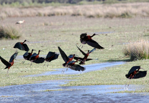 Kalkın kızlar gidiyoruz :)