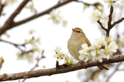 Seni Çıvgın Hadi Oradan :)